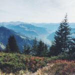 Herstbliches Farbenspiel auf dem Weg vom Gipfel nach Grüsch.
Foto: Sarah Hefti