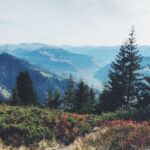 Herstbliches Farbenspiel auf dem Weg vom Gipfel nach Grüsch.
Foto: Sarah Hefti